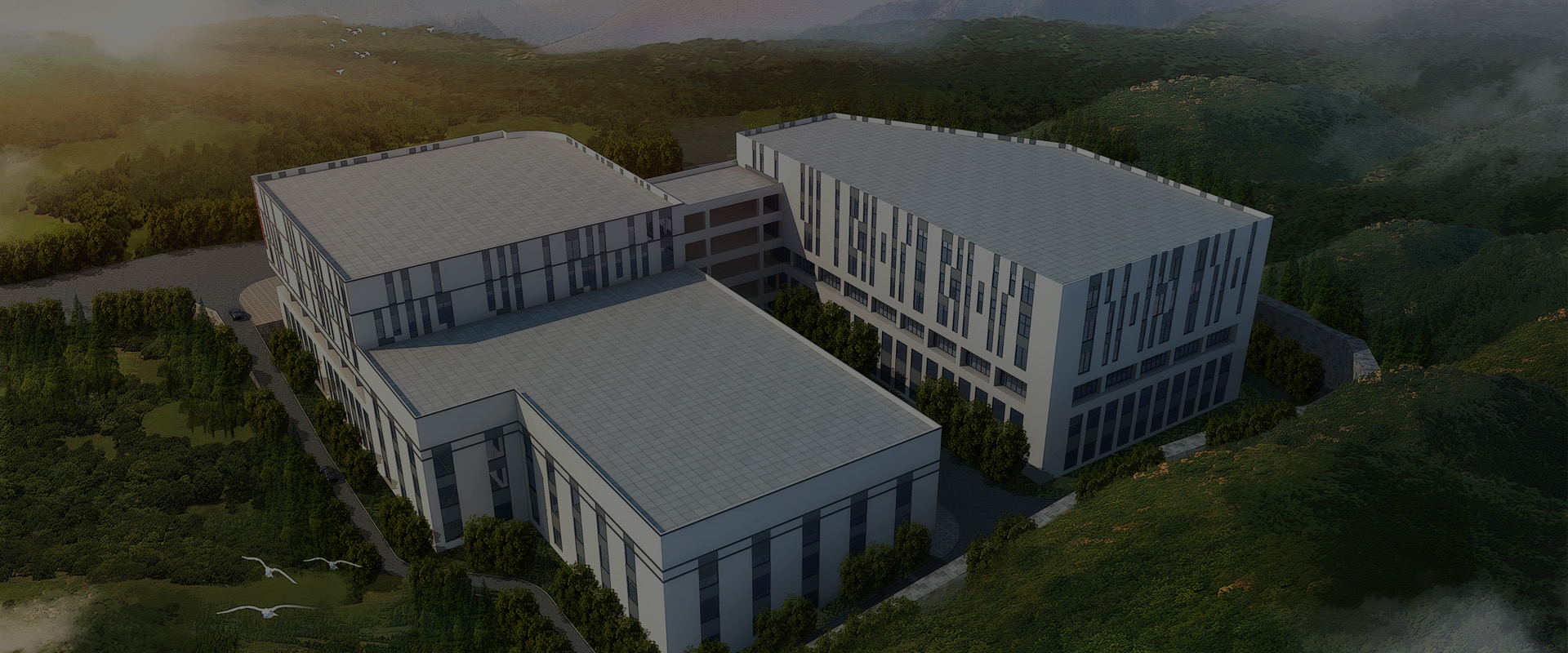 ���_(d��)���������ò��������I(l��ng)����